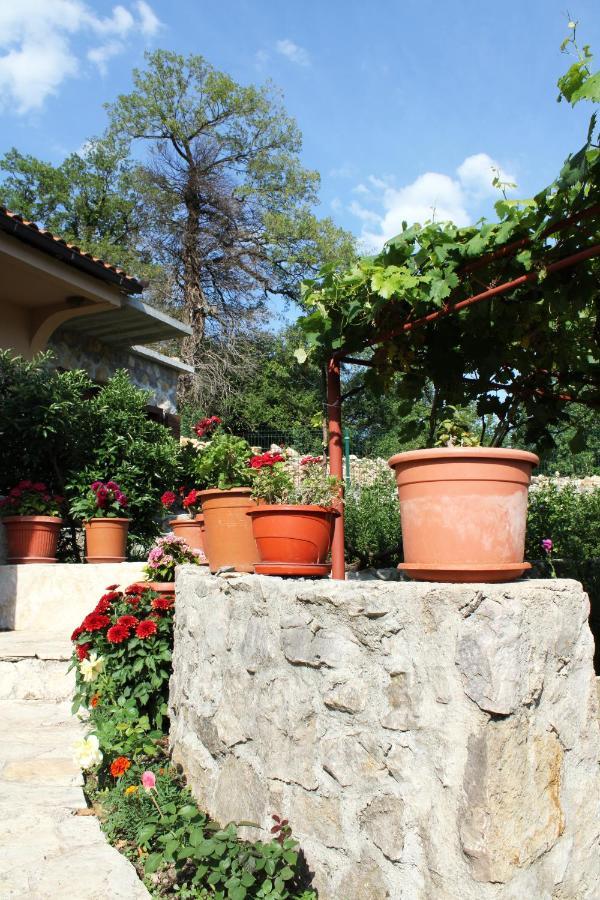 Holiday Home Gazevic Вирпазар Екстериор снимка