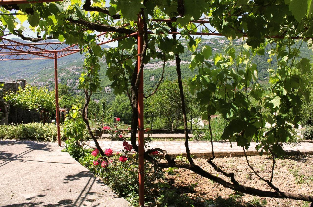 Holiday Home Gazevic Вирпазар Екстериор снимка